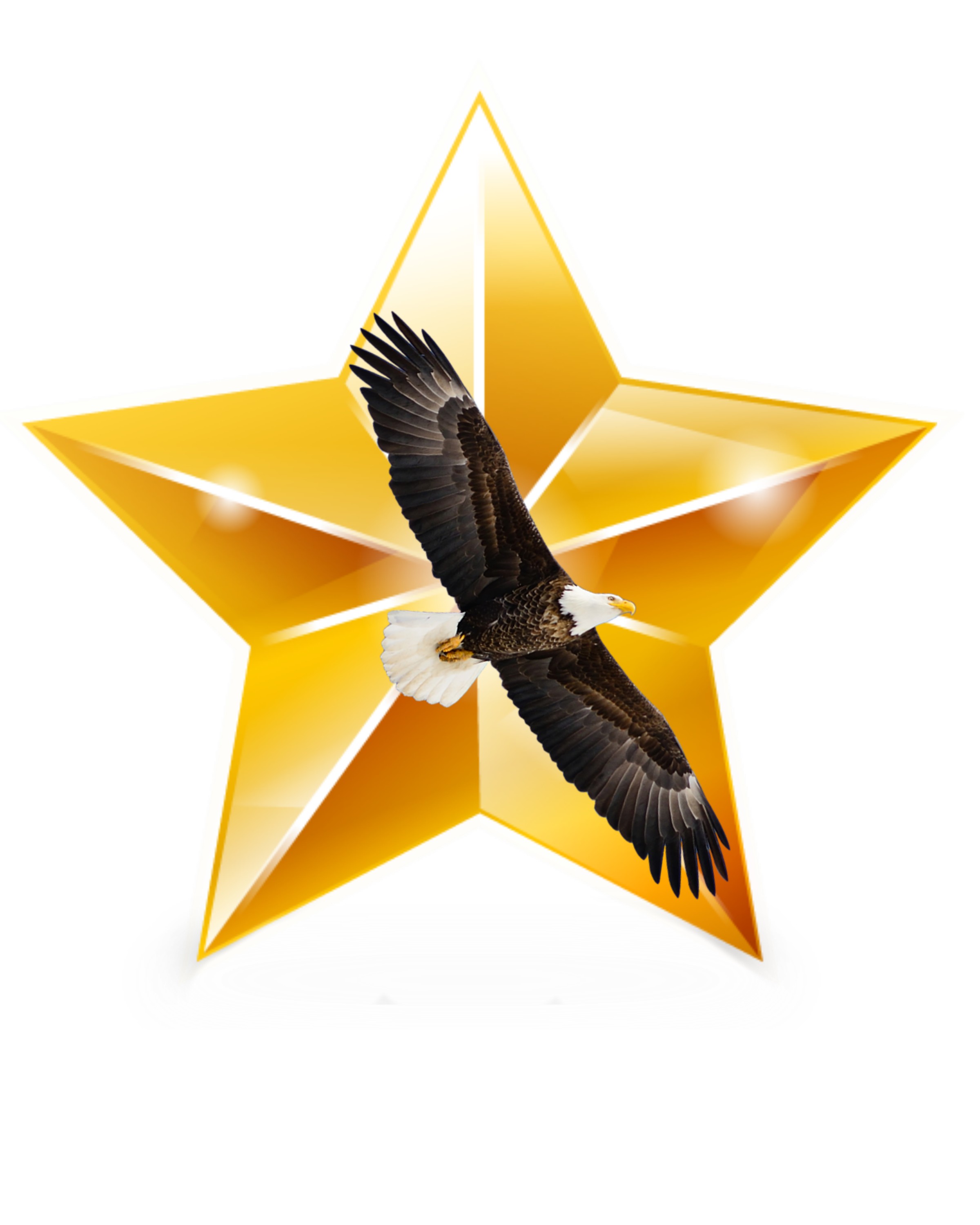 CSA - Star - Eagle